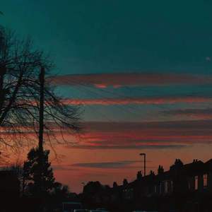 全国鸡蛋价格早报
