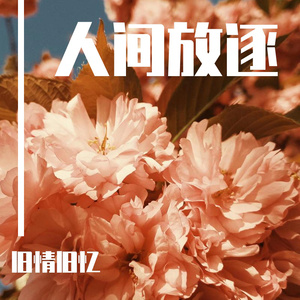 全国鸡蛋价格早报
